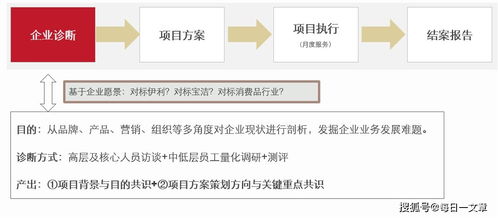 品牌管理部年終述職報告 在企業(yè)管理中，抓住每一次“被看見”的瞬間